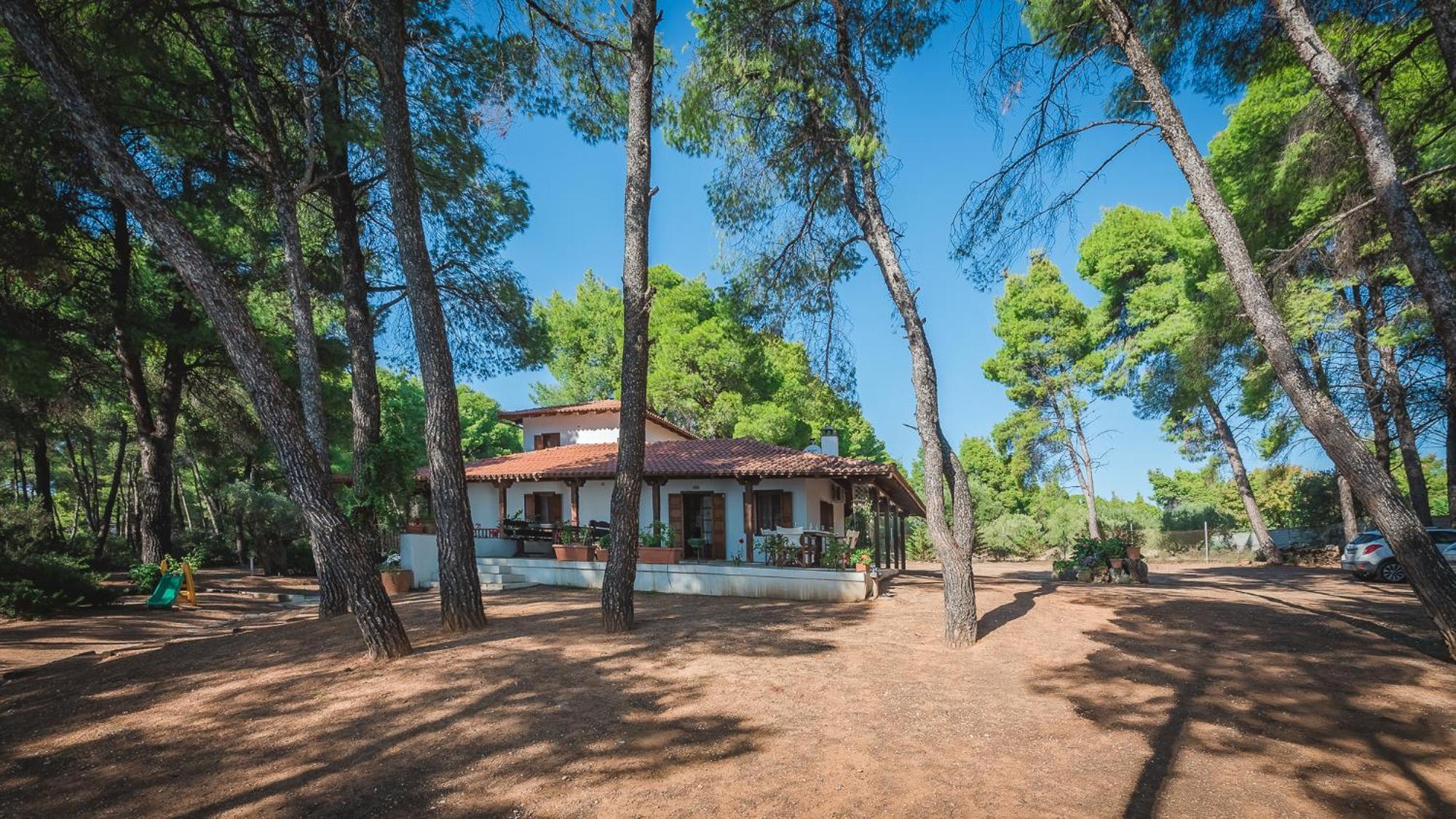 Squirrel Beach Front Villa, Metamorfosi Dış mekan fotoğraf