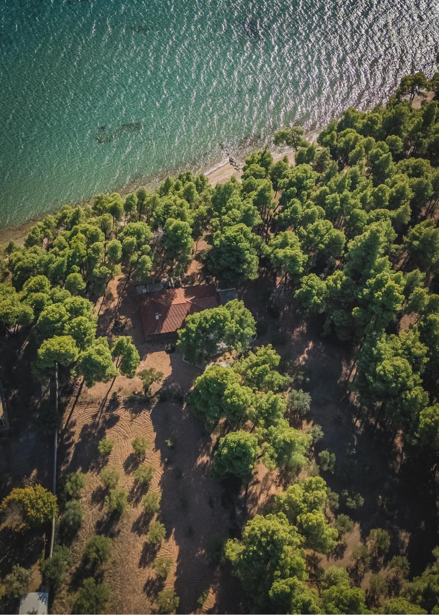 Squirrel Beach Front Villa, Metamorfosi Dış mekan fotoğraf