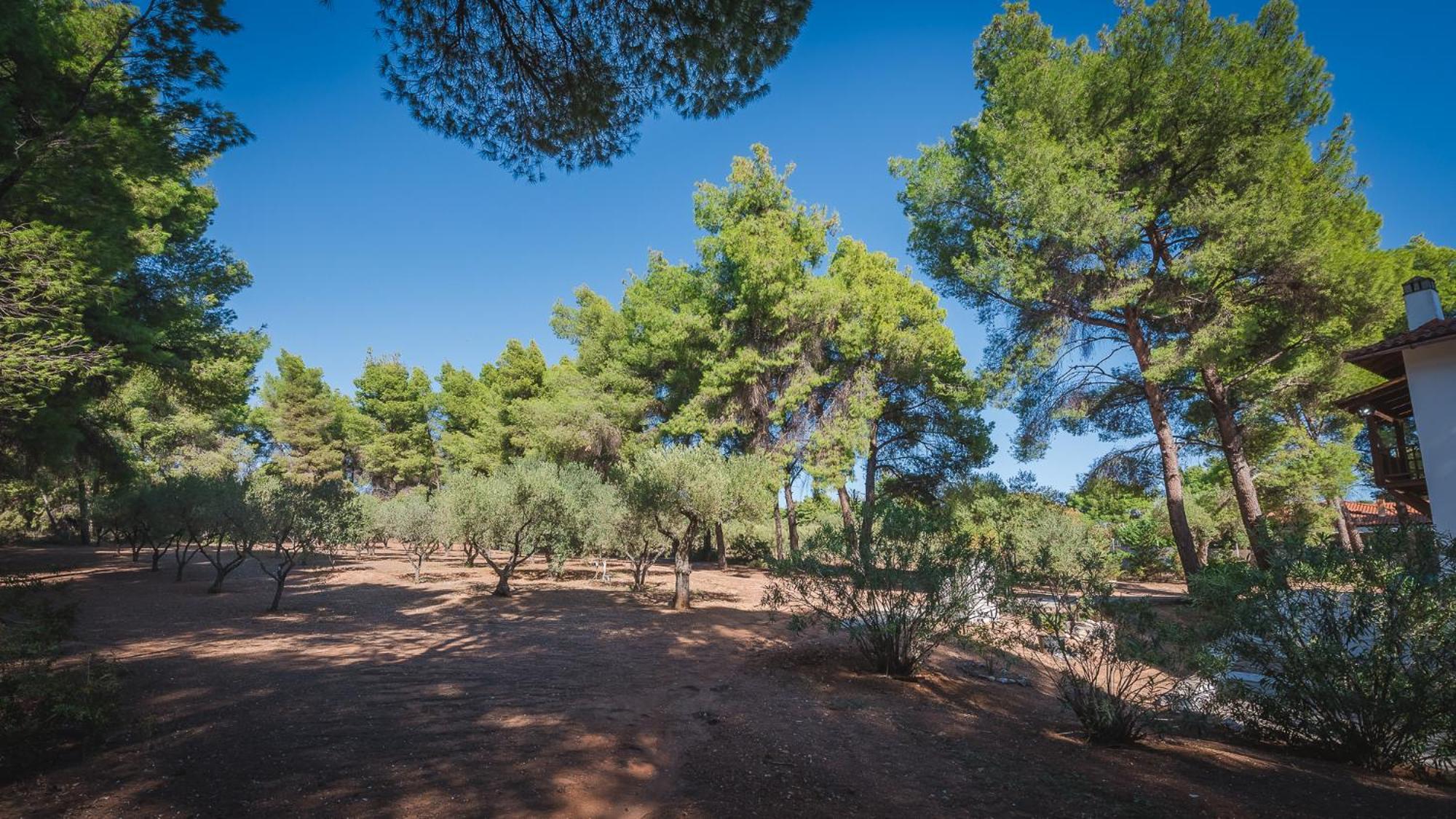 Squirrel Beach Front Villa, Metamorfosi Dış mekan fotoğraf