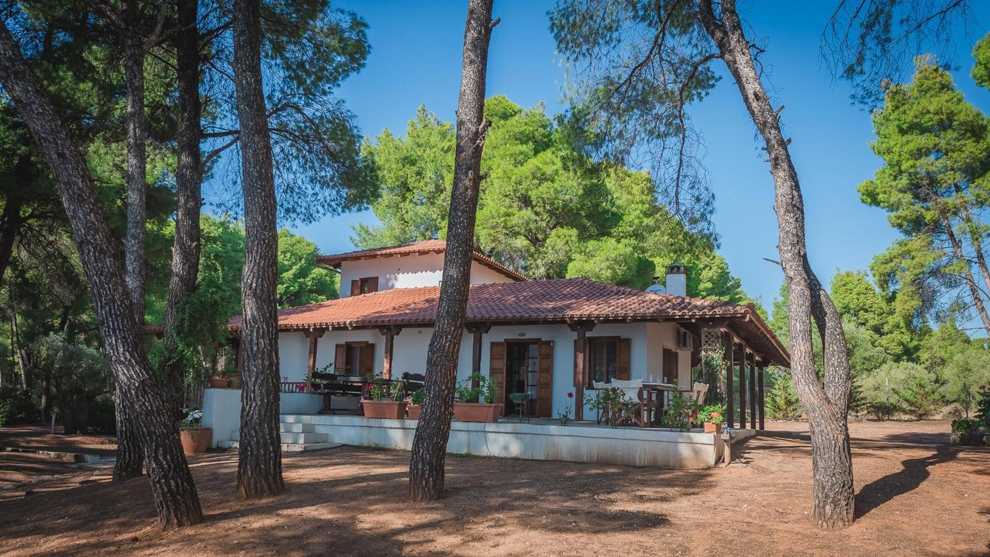 Squirrel Beach Front Villa, Metamorfosi Dış mekan fotoğraf