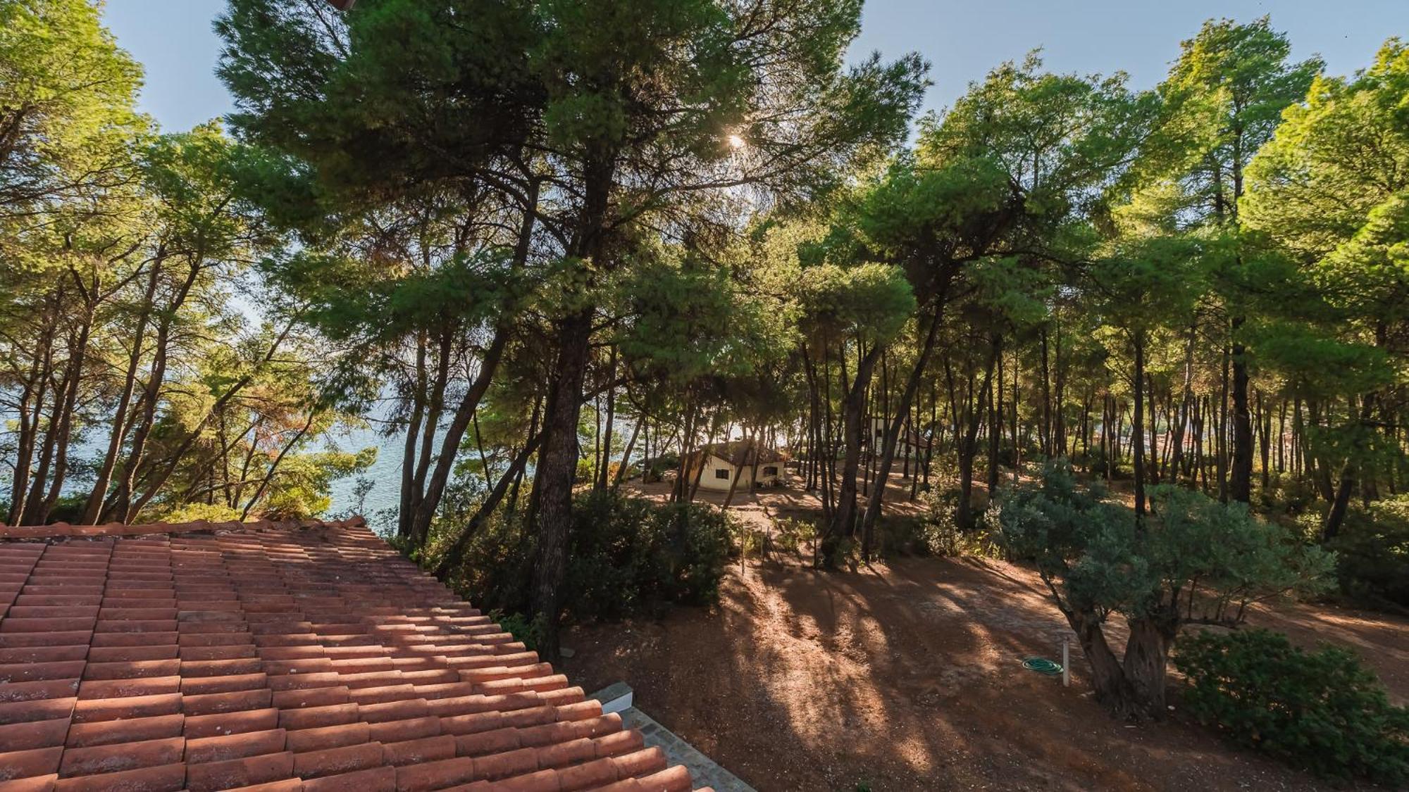 Squirrel Beach Front Villa, Metamorfosi Dış mekan fotoğraf