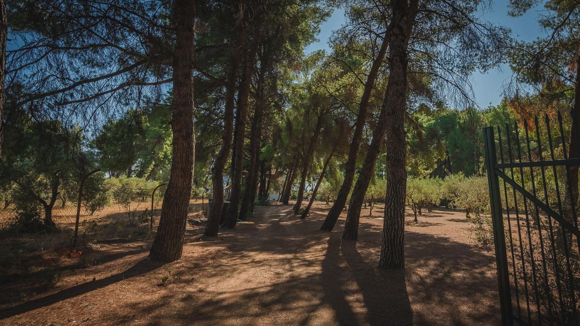 Squirrel Beach Front Villa, Metamorfosi Dış mekan fotoğraf