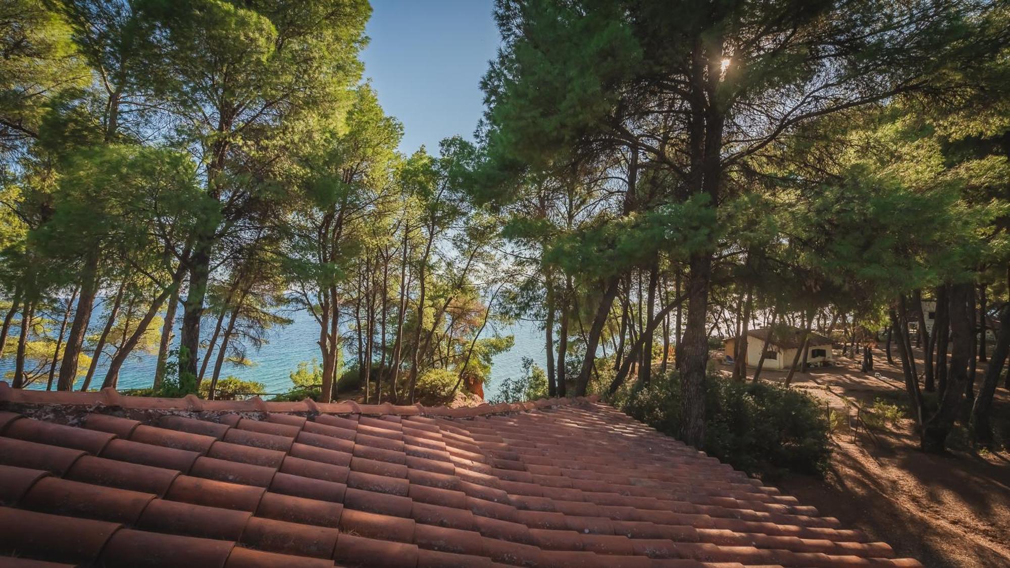 Squirrel Beach Front Villa, Metamorfosi Dış mekan fotoğraf